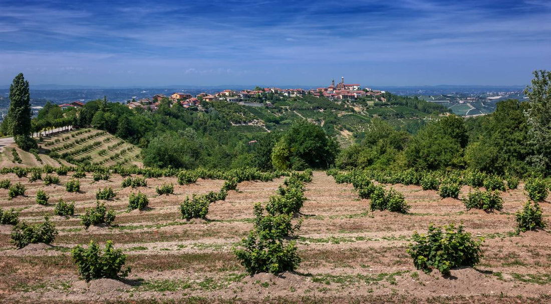 Biologische Landwirtschaft in Italien