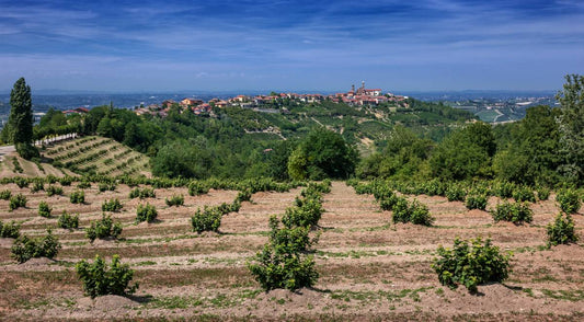 Biologische Landwirtschaft in Italien